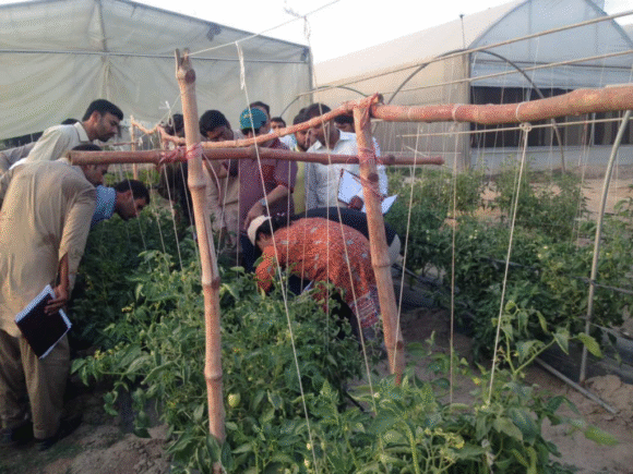 Field Staff Training