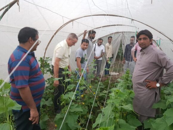East-West Seed Visits Punjab and Sindh Fields