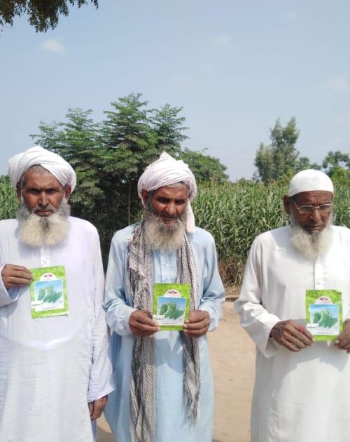 WhatsApp Image 2019-12-19 at 4.01.02 PM Haji M. Aslam with his brothers carrying Golden Hot seeds at Jhang, Punjab