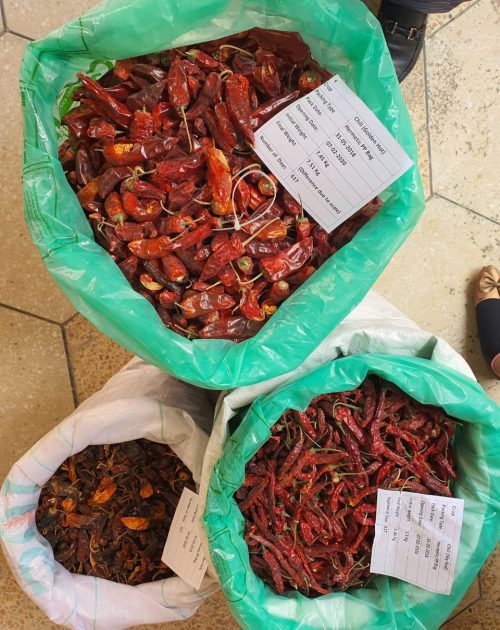 chilli-hermetic chilli-hermetic
