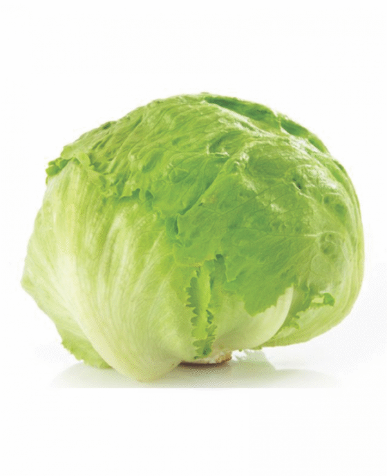 Lettuce Ice Berg 