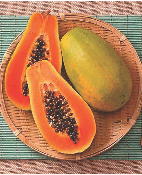 Papaya