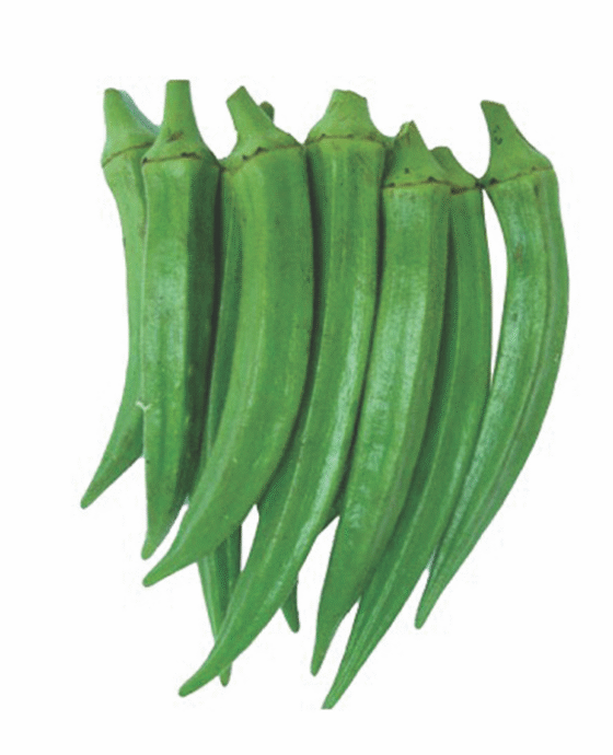 Okra