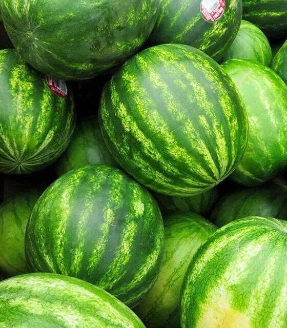 Watermelon