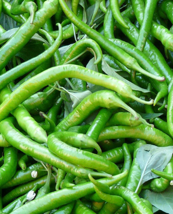 Chillies