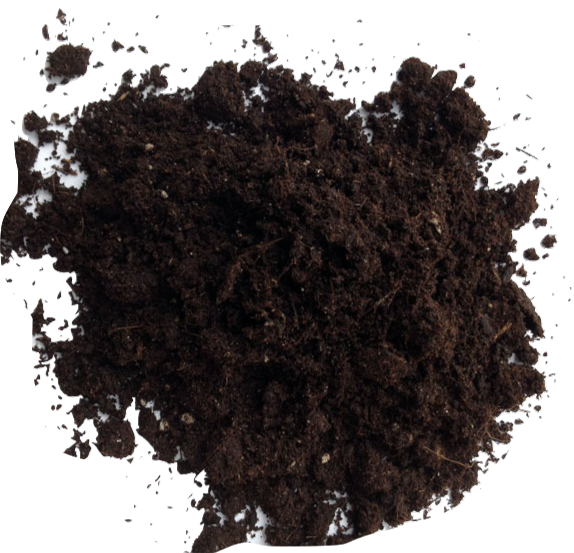 Peat Moss
